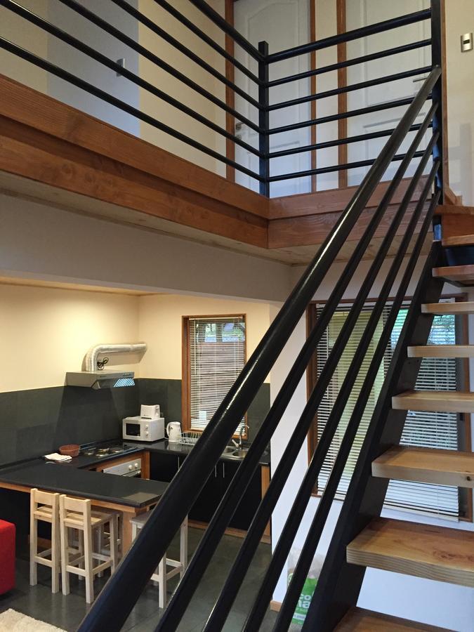 Loft Pucon Aparthotel Exteriör bild